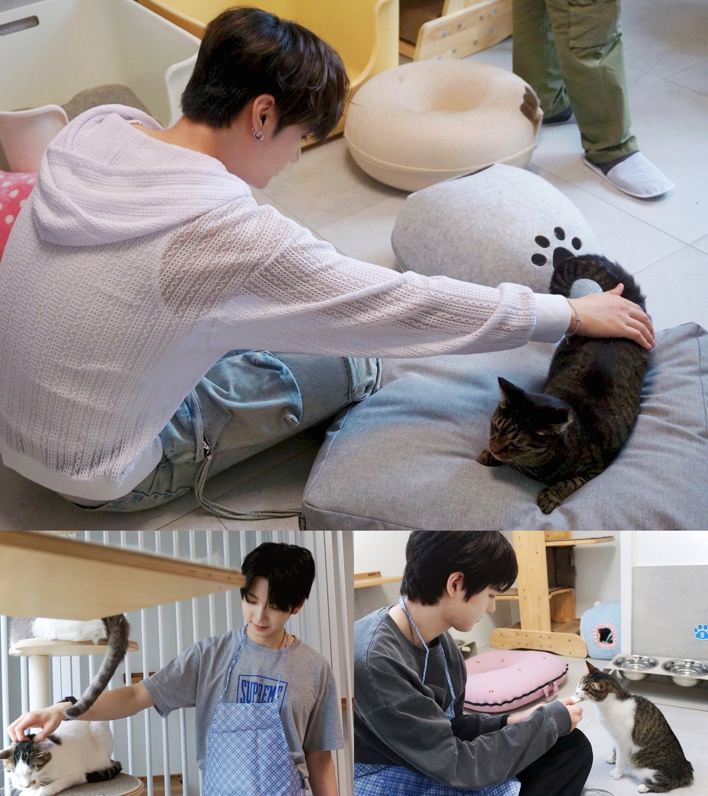 FNC엔터테인먼트 제공