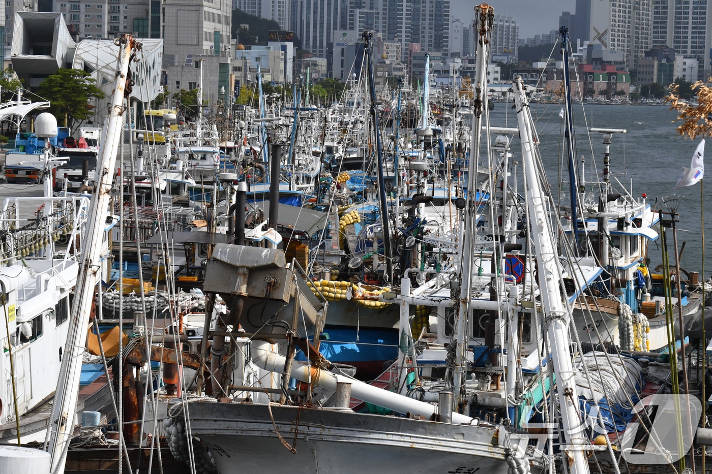 제10호 태풍 산산이 북상 중인 29일 오전 경북 포항시 북구 동빈내항에서 어선들이 피항하고 있다. 2024.8.29/뉴스1 ⓒ News1 최창호 기자