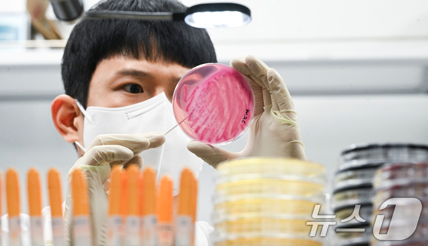 (사진은 기사 내용과 무관함) / 뉴스1 ⓒ News1