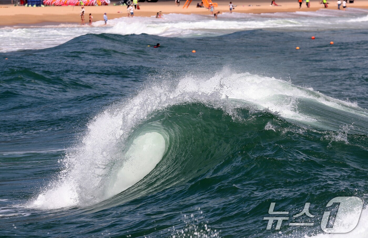 높은 파도.&#40;뉴스1 DB&#41;ⓒ News1 윤일지 기자