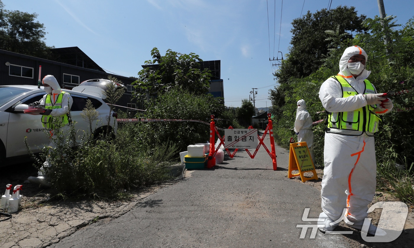 한 양돈농가에 아프리카돼지열병&#40;ASF&#41;이 발병해 방역 관계자들이 차량을 통제하고 있다. ⓒ News1 박세연 기자