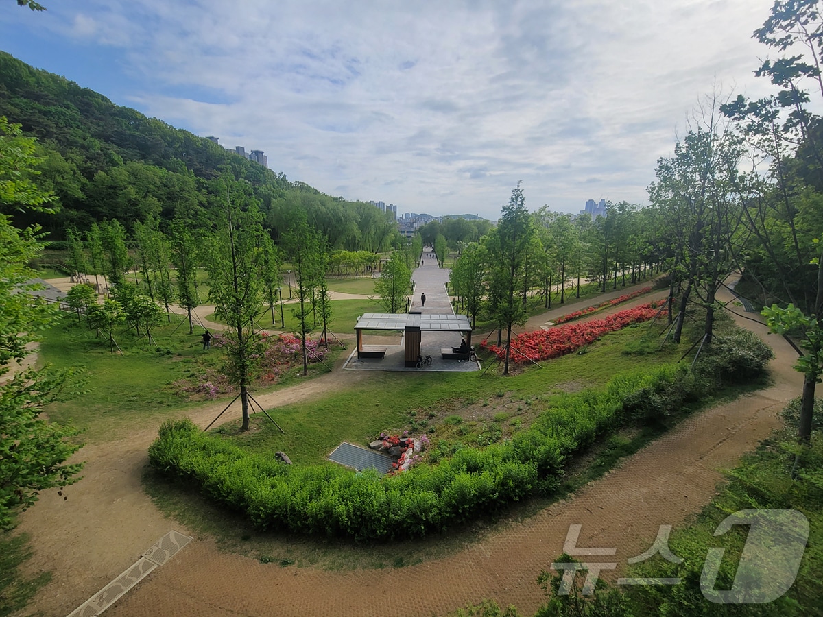 대구 두류공원 도시숲과 달성공원 도시숲이 산림청에서 선정한 '아름다운 도시숲 50선'에 이름을 올렸다. 사진은 두류공원 도시숲. (대구시 제공)/뉴스1