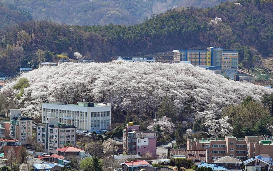 대전테미예술창작센터 전경.(대전시 제공) ⓒ 뉴스1 