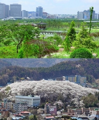 산림청 주관 전국 아름다운 명품 도시숲 50선에 선정된 한밭수목원&#40;사진 위&#41;과 테미공원 도시숲 모습.&#40;대전시 제공&#41;/뉴스1 ⓒ News1 김경훈 기자