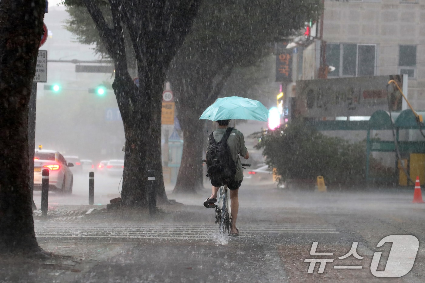 5일 오후 대구 수성구 신매시장 일대에 갑작스러운 폭우가 쏟아지고 있다. 2024.8.5/뉴스1 ⓒ News1 공정식 기자