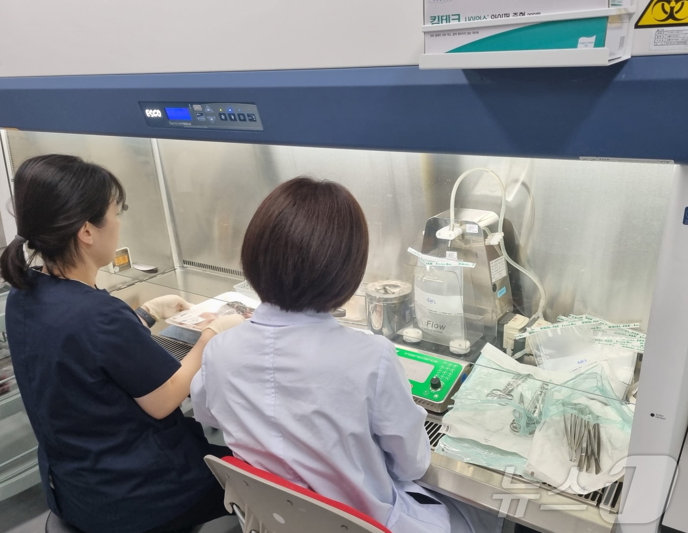 수산물 비브리오균 검사.(뉴스1/DB)