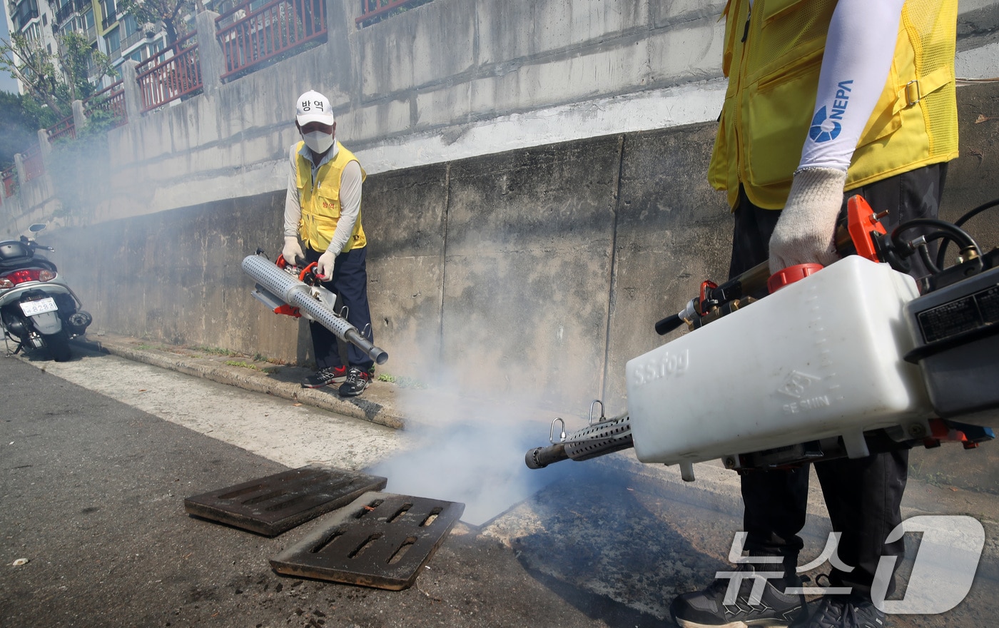 방역반 관계자들이 각종 감염병 매개체인 모기 등 해충 박멸하기 위해 방역을 실시하고 있다.(자료사진)/뉴스1 DB