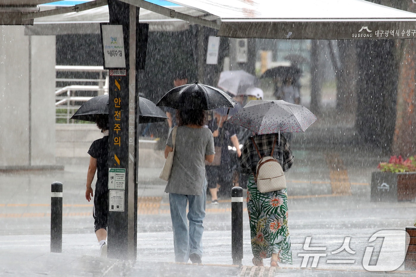 자료사진/뉴스1