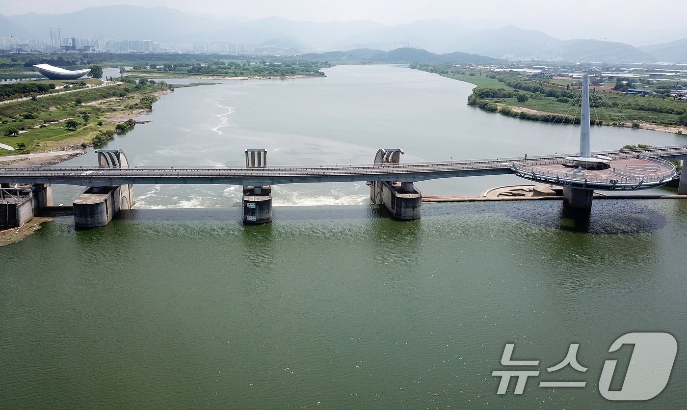 지난해 8월 녹조가 발생한 낙동강 강정고령 지점. (사진은 기사 내용과 무관함) 2024.8.9/뉴스1 ⓒ News1 자료 사진