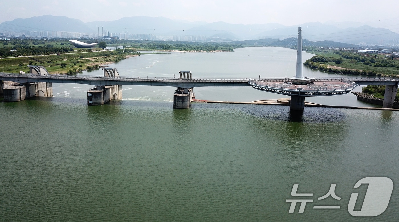 대구 달성군 다사읍과 경북 고령군 다산면을 잇는 낙동강 강정고령보 일대 강물이 녹조로 인해 초록빛을 띠고 있다. (사진은 기사 내용과 무관함) 2024.8.9/뉴스1 ⓒ News1 자료 사진