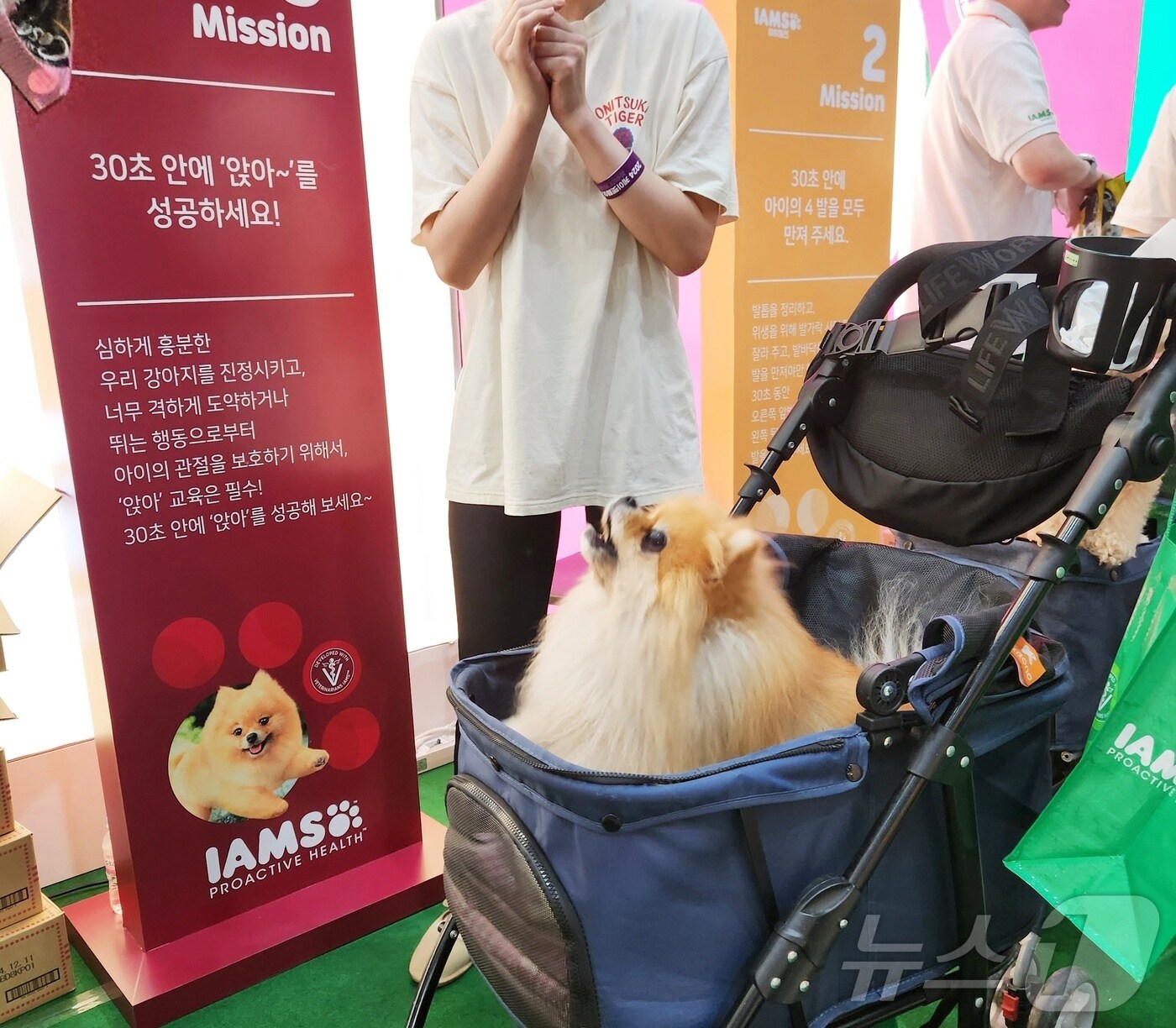 댕냥이 사료 바꿔볼까…케이펫페어 수원, 신규 사료 브랜드 '눈길' - 뉴스 썸네일 이미지