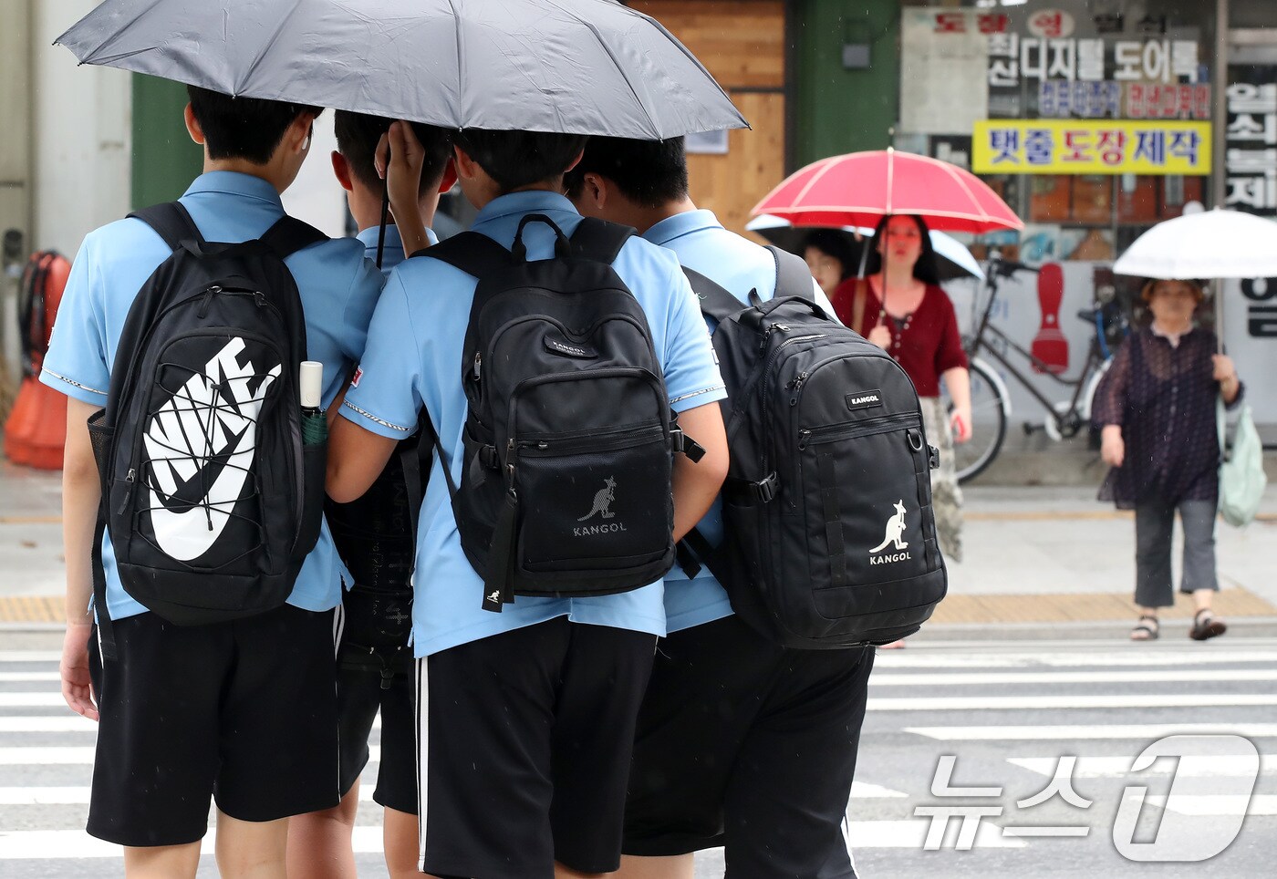 늦더위가 이어진 11일 오후 대구 중구 국채보상로 일대에 비가 내리자 하굣길 학생들이 우산 하나로 함께 비를 피하며 횡단보도를 건너고 있다. 2024.9.11/뉴스1 ⓒ News1 공정식 기자