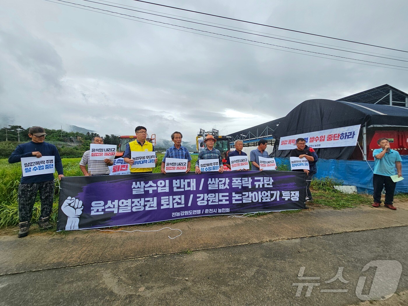 12일 강원 춘천시 신북읍 유포리의 한 논에서 전국농민회총연맹 강원도연맹과 춘천농민회가 쌀값 보장과 쌀 수입 반대를 촉구 논 갈아엎기 투쟁을 벌이고 있다.(전국농민회총연맹 강원도연맹 제공) 2024.9.12/뉴스1