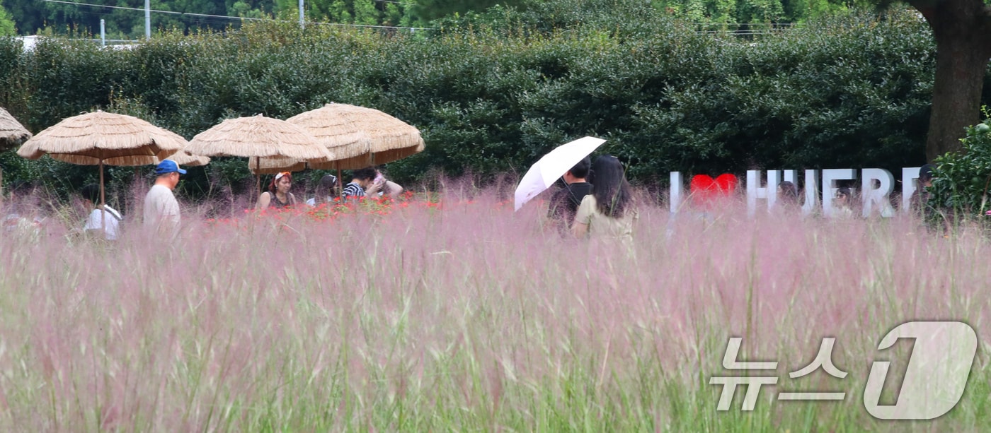 추석인 17일 오전 제주 서귀포시 남원읍 휴애리자연생활공원에서 가족 단위 나들이객이 핑크뮬리길을 산책하고 있다. 2024.9.17/뉴스1 ⓒ News1 오현지 기자