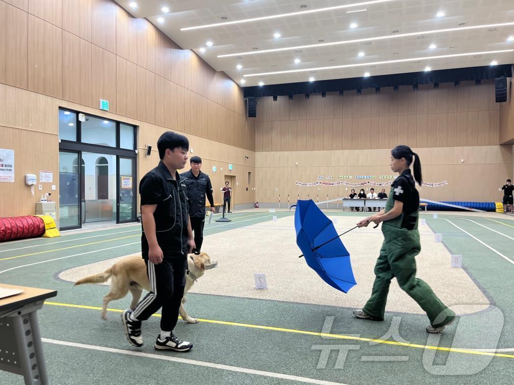 대전반려동물공원 실내놀이터에서 실시한 기질평가 사전 모의시연 모습.(대전시 제공)/뉴스1 ⓒ News1 