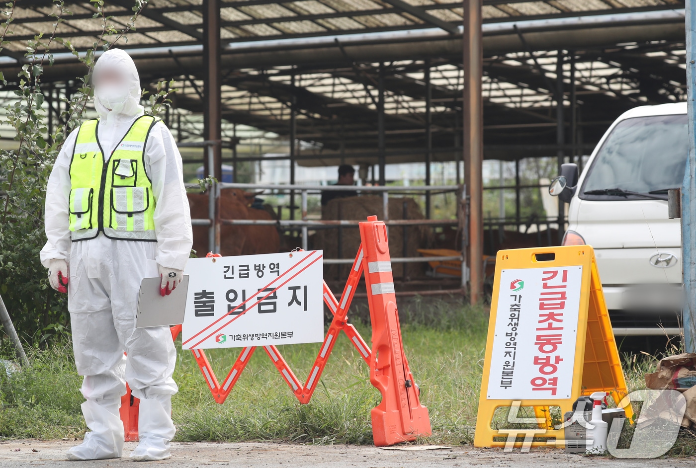 지난 19일 경기 여주시 한 한우농장에서 럼피스킨이 발생해 방역 관계자들이 농장 일대를 통제하고 있다. 2024.9.19/뉴스1 ⓒ News1 김영운 기자