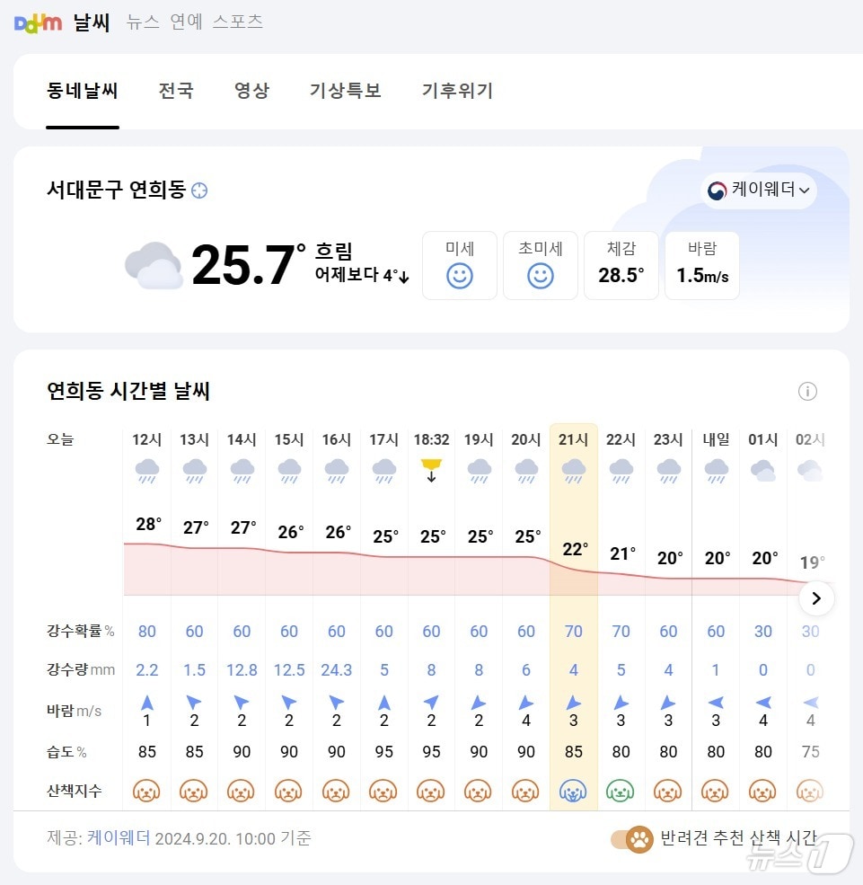 다음 날씨의 '반려견 추천 산책 시간' 표시 화면 갈무리