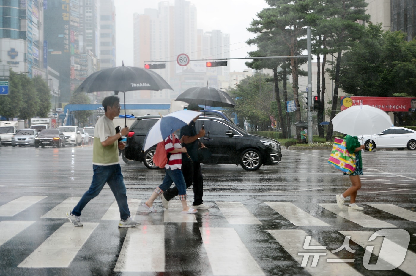 우산을 쓴 시민들이 길을 건너고 있다. /뉴스1 ⓒ News1