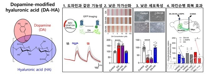 DA-HA의 특성을 나타낸 모식도. &#40;안전성평가연구소 제공&#41;/뉴스1