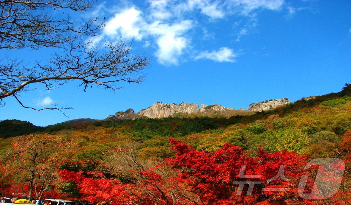 가을 단풍과 어우러진 서래봉 전경&#40;국립공원 내장산 제공&#41;