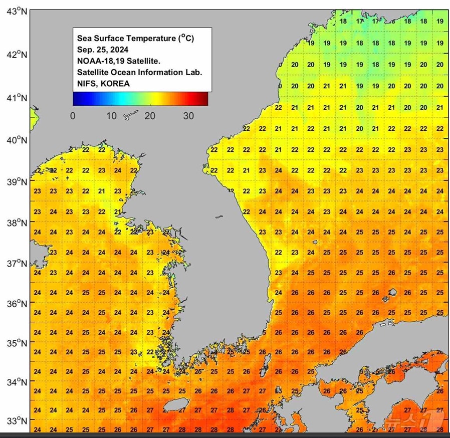 25일 고수온 위성영상. &#40;국립수산과학원 홈페이지 갈무리&#41; 2024.9.25/뉴스1 