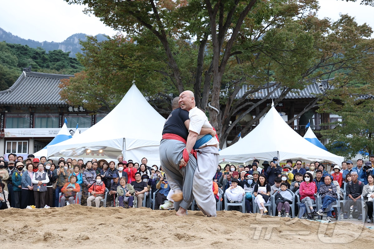 지난해 열린 팔공산 동화사에서 열린 승시축제에 스님들이 씨름 대결을 펼치고 있다.&#40;대구시 제공&#41;