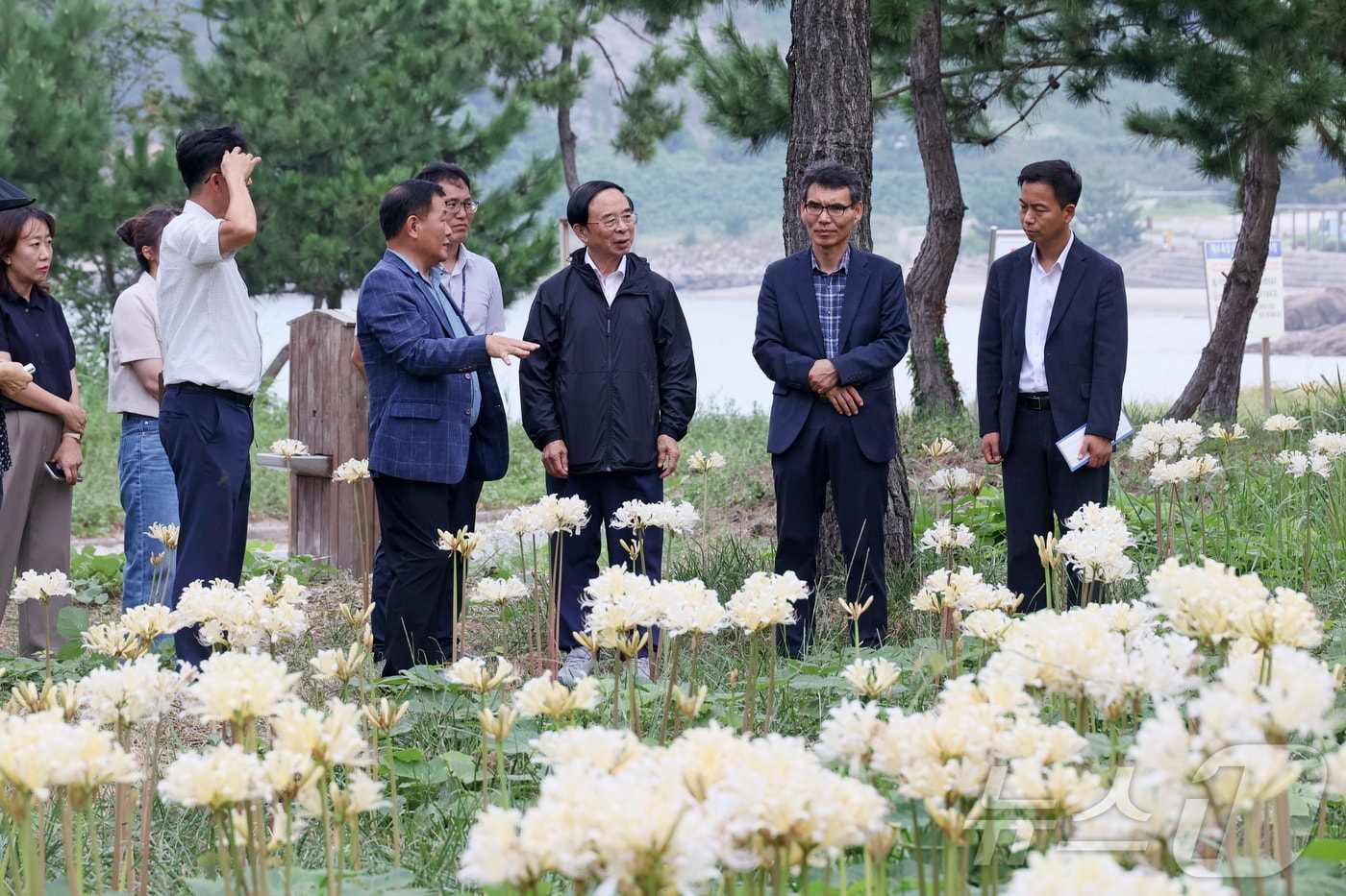 4일 심민 전북자치도 임실군수가 부안군 위도면 상사화 군락지를 벤치마킹하고 있다.&#40;임실군제공&#41;2024.9.4/뉴스1