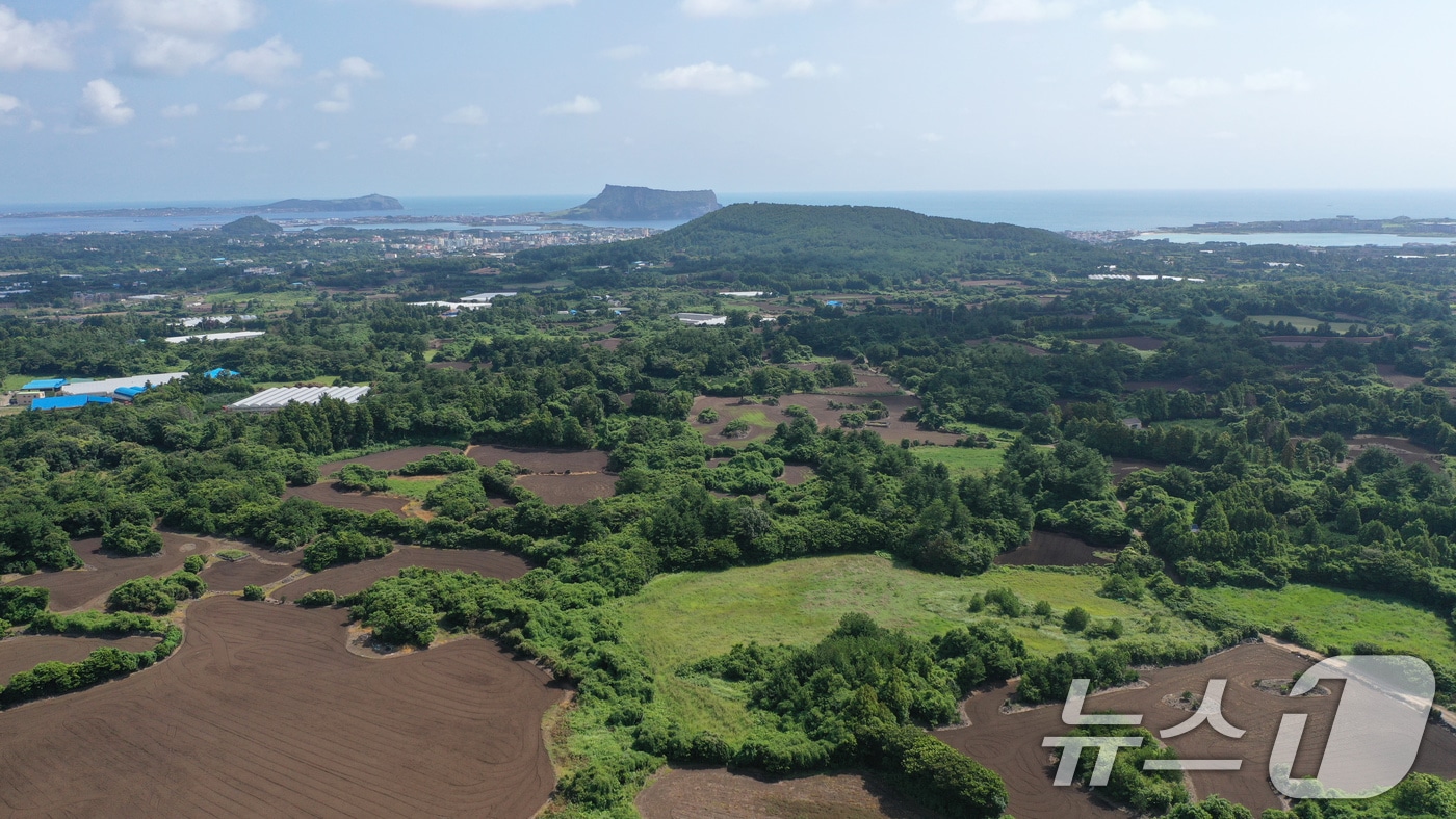 제2공항 예정 부지인 서귀포시 성산읍 일대를 드론 촬영한 모습&#40;자료사진&#41;ⓒ News1 