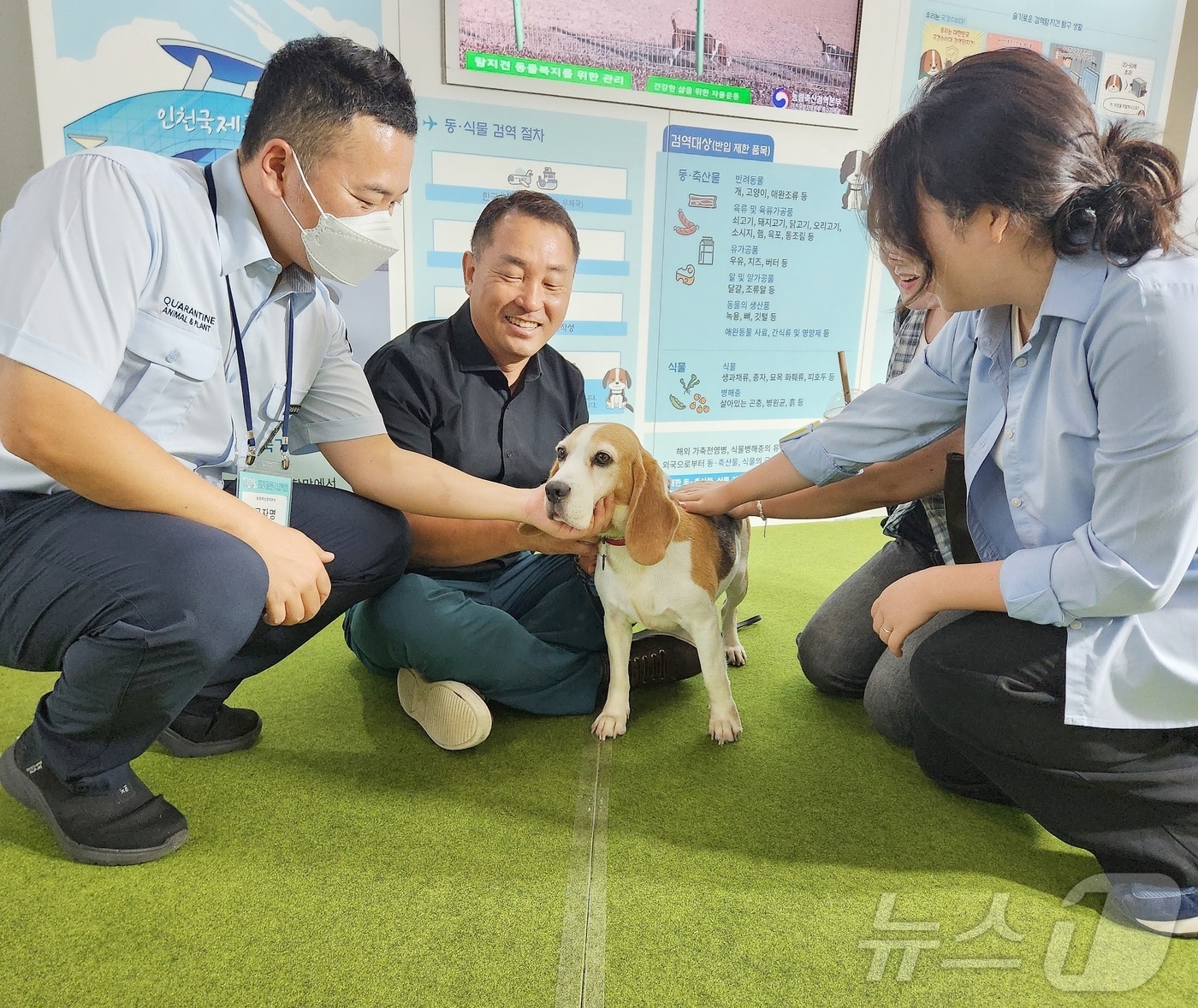 "검역탐지견 가족 기다려요"...농림축산검역본부, 박람회서 입양 홍보 - 뉴스 썸네일 이미지