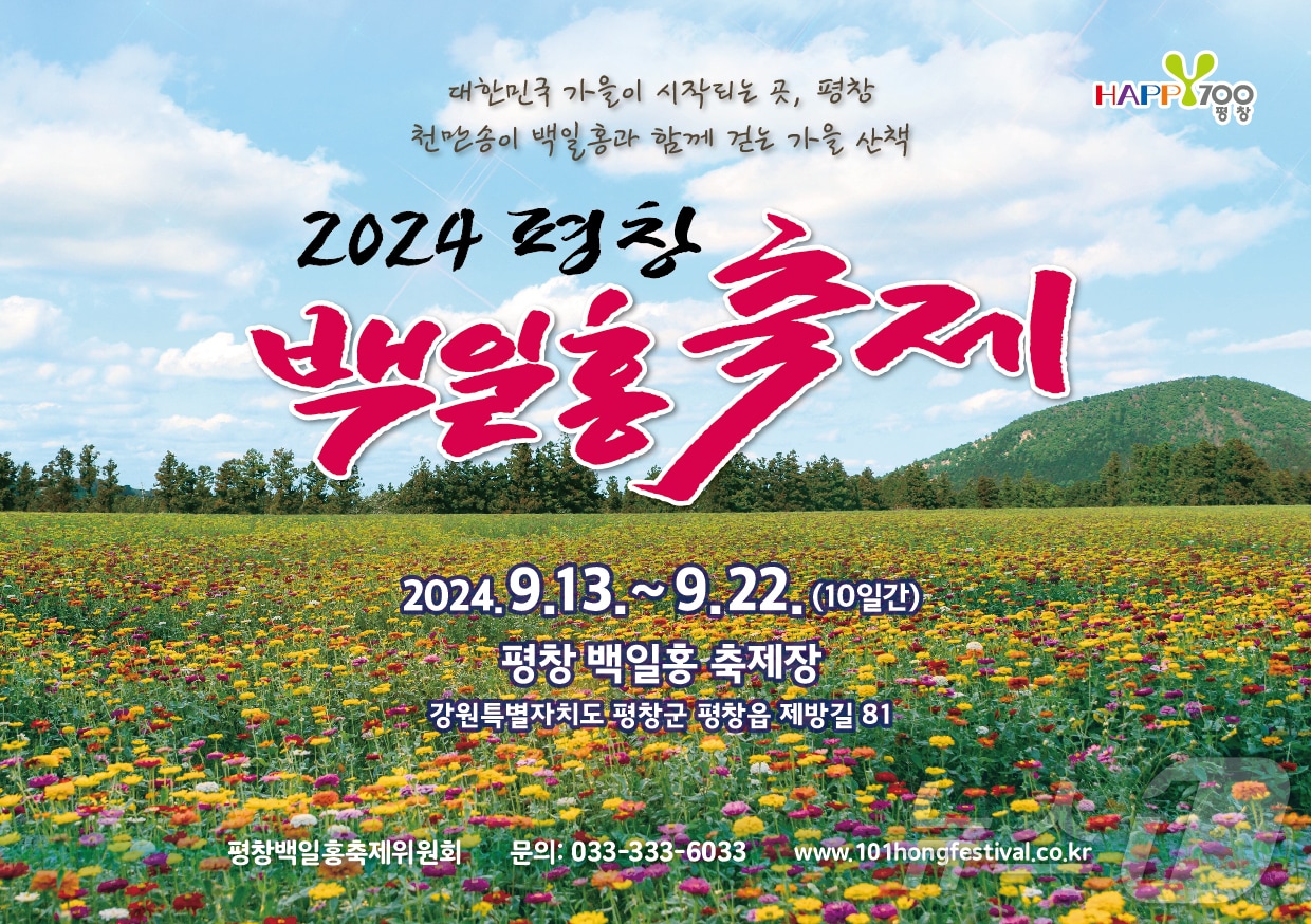 올해 평창백일홍축제 포스터. &#40;평창군 제공&#41; 2024.9.5/뉴스1