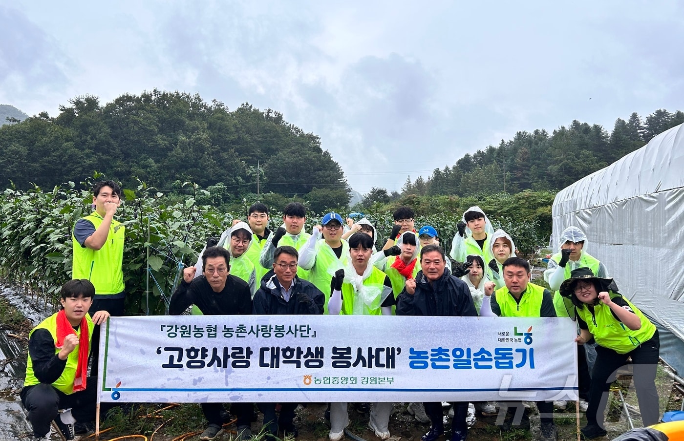 강원농협은 6일 홍천 북방면의 가지 재배 농가에서 농촌 일손 돕기를 실시했다. 이날 일손 돕기에는 강원농협 임직원과 강원대 학생 30여 명이 참석했다.&#40;농협 강원본부 제공&#41; 2024.9.6/뉴스1