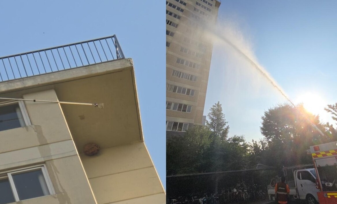 (온라인 커뮤니티 '보배드림' 갈무리)