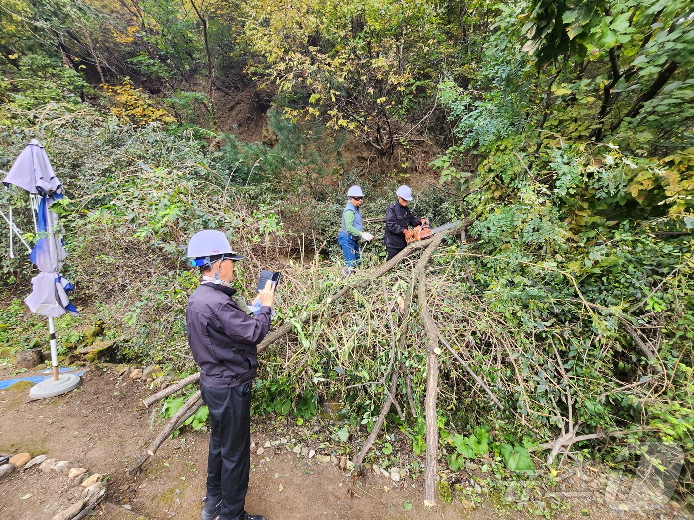 영주시 산림 근로자들의 작업 모습(영주시 제공)2025.1.10/뉴스1