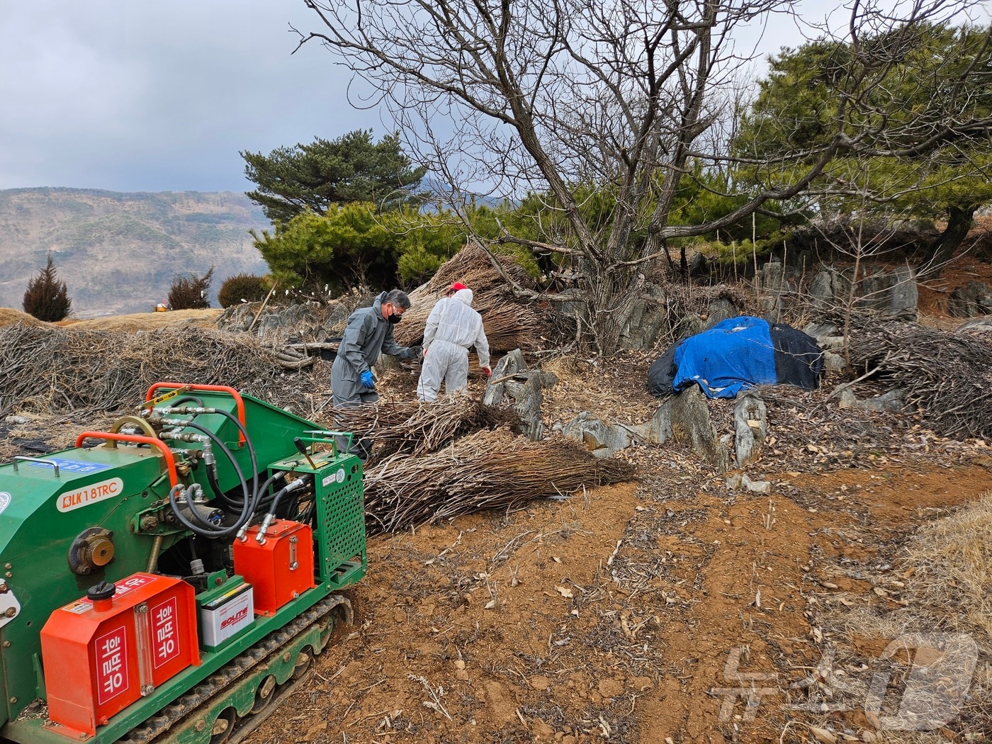 단양군농업기술센터 영농부산물 파쇄기/뉴스1 