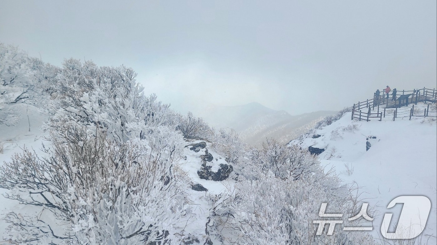 많은 눈이 쌓인 12일 전남 구례군 지리산 노고단에 눈부신 설경이 펼쳐져 있다. (구례군 제공) (사진은 기사 내용과 무관함) 2025.1.12/뉴스1 