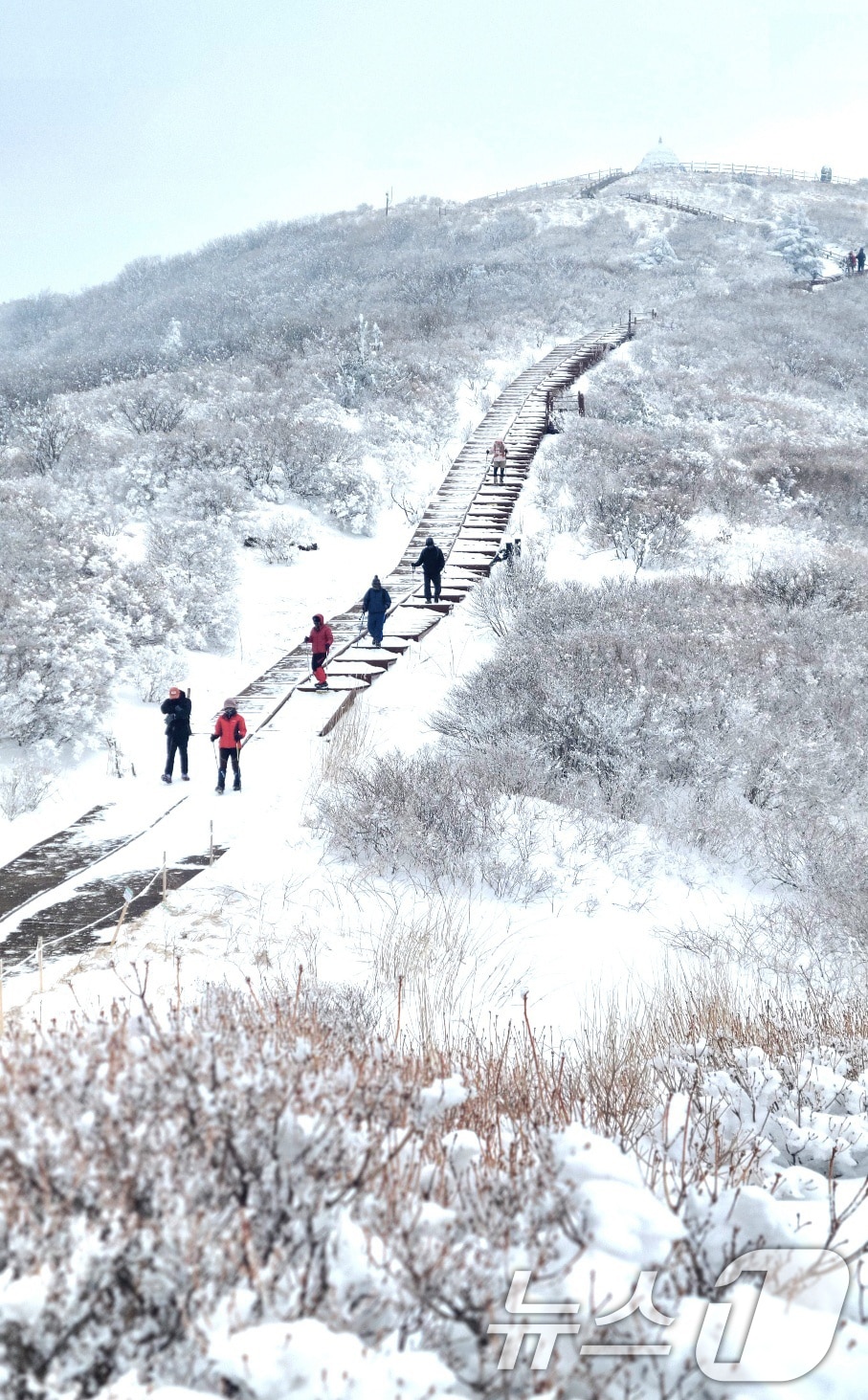 지리산 노고단 설경. (구례군 제공) 2025.1.12/뉴스1 ⓒ News1 DB