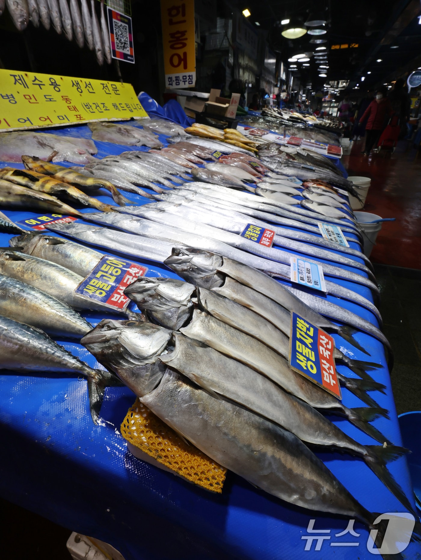 서울 마포구 마포농수산물시장에 고등어가 진열돼있다.(사진은 기사내용과 관련없음).2025.1.13/뉴스1 ⓒ News1 