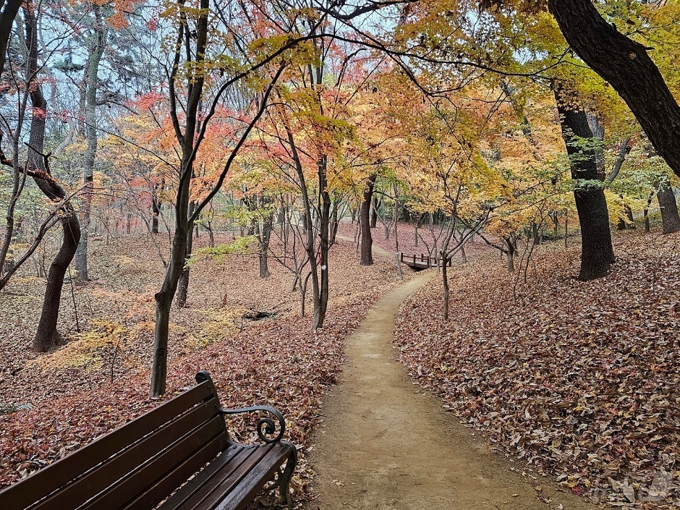 대구 수성구가 조성한 범어공원 순환산책로 전경(대구 수성구 제공)