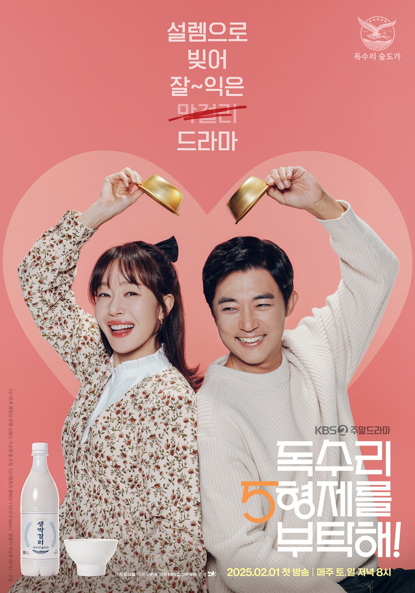 KBS 2TV '독수리 5형제를 부탁해!' 포스터