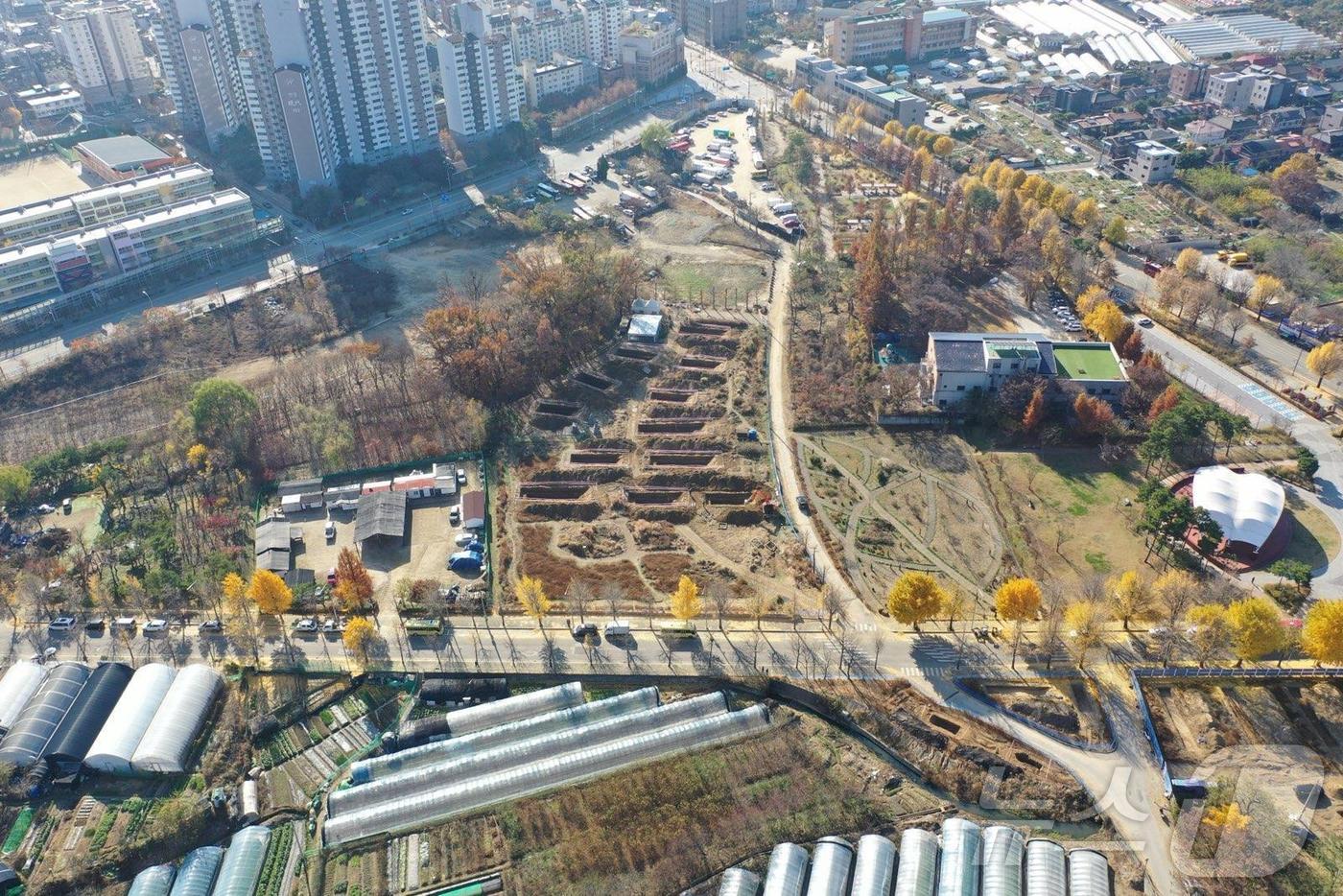 (서울 강동구 제공)
