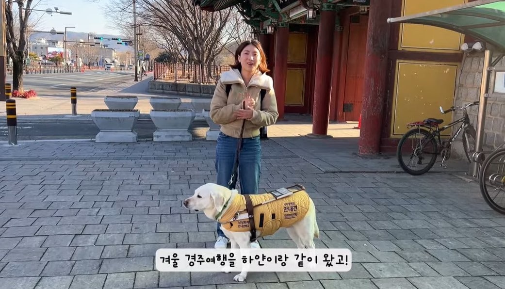 &#40;유튜브&#39; 우령의 유디오&#39;&#41;