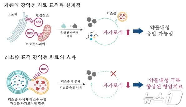 개발된 리소좀 표적 광감각제 기반 치료의 차별점. (UNIST 제공)