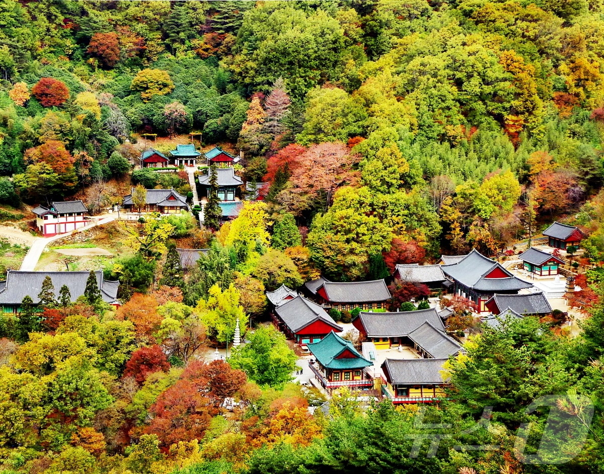 쌍계사 전경.(하동군 제공)