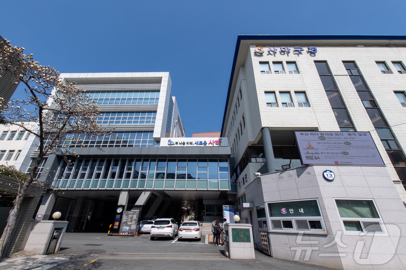부산 사하구청 전경.(사하구 제공절