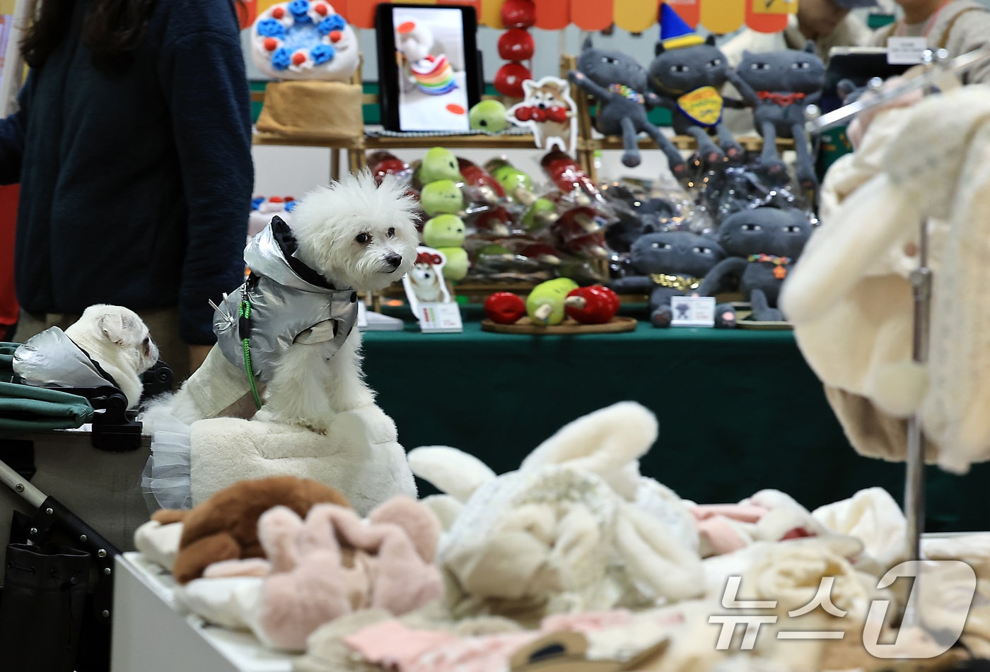 17일 경기도 고양시 일산 킨텍스에서 열린 마이펫페어 2025 일산 Part1을 찾은 반려견이 다양한 반려동물 용품을 살펴보고 있다. (사진은 기사 내용과 무관함) 2025.1.17/뉴스1 ⓒ News1 박정호 기자