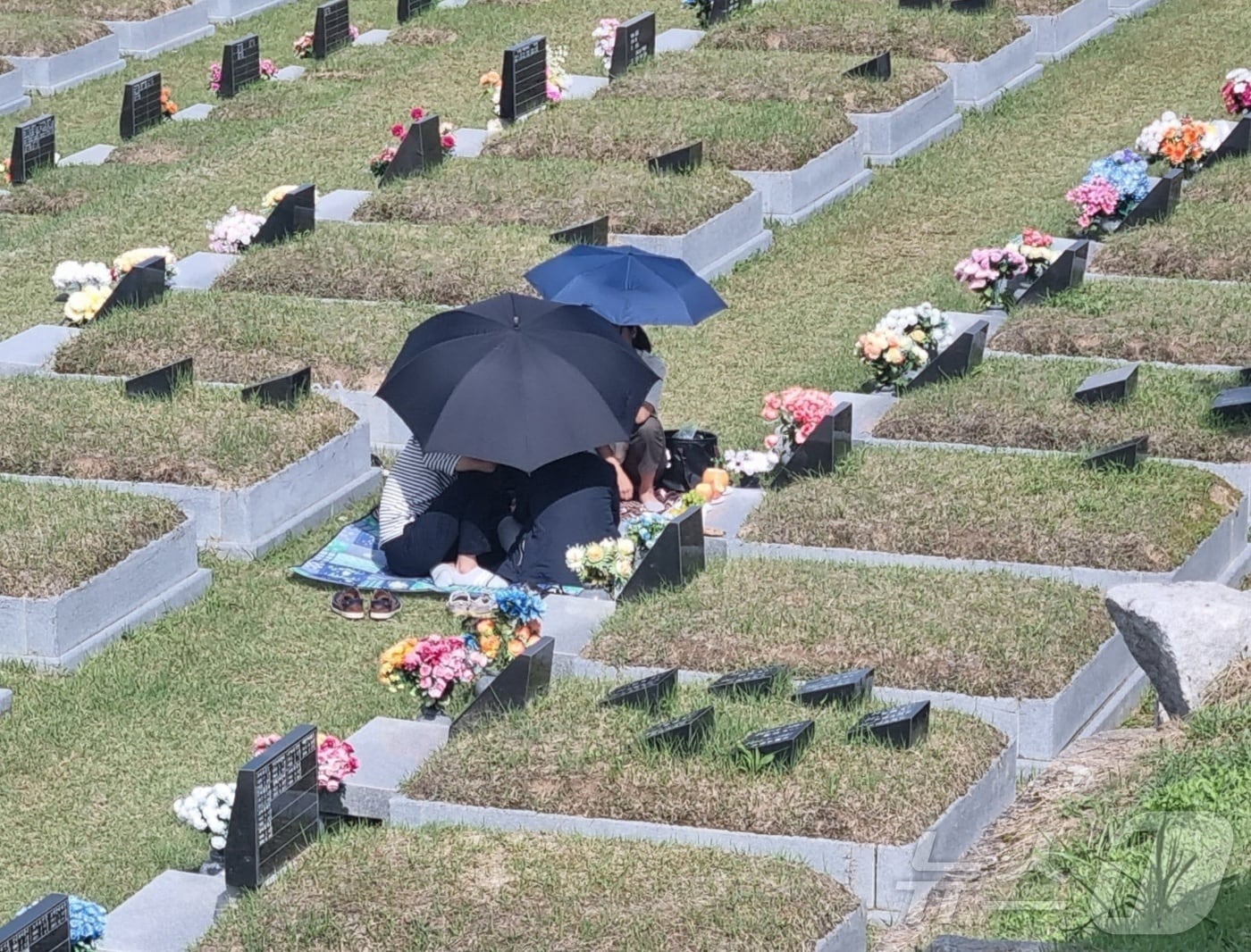 강릉 공설묘원인 청솔공원에서 성묘하는 시민들.(뉴스1 DB)