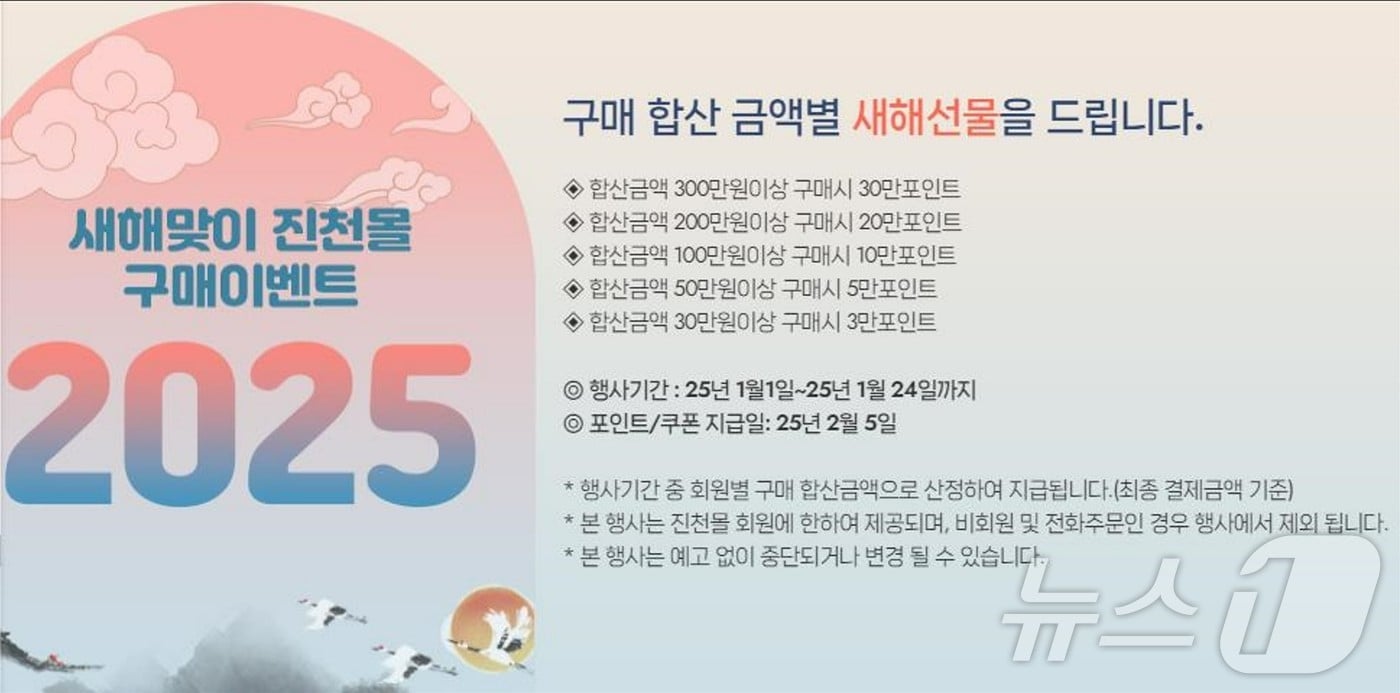 새해 맞이 할인 이벤트를 진행하고 있는 진천몰 누리집/뉴스1