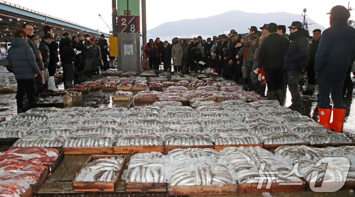 작년 부산 서구 부산공동어시장에서 중도매인들이 힘찬 손짓으로 새해 첫 수산물 경매를 진행하고 있다. 2025.1.2/뉴스1 ⓒ News1 윤일지 기자