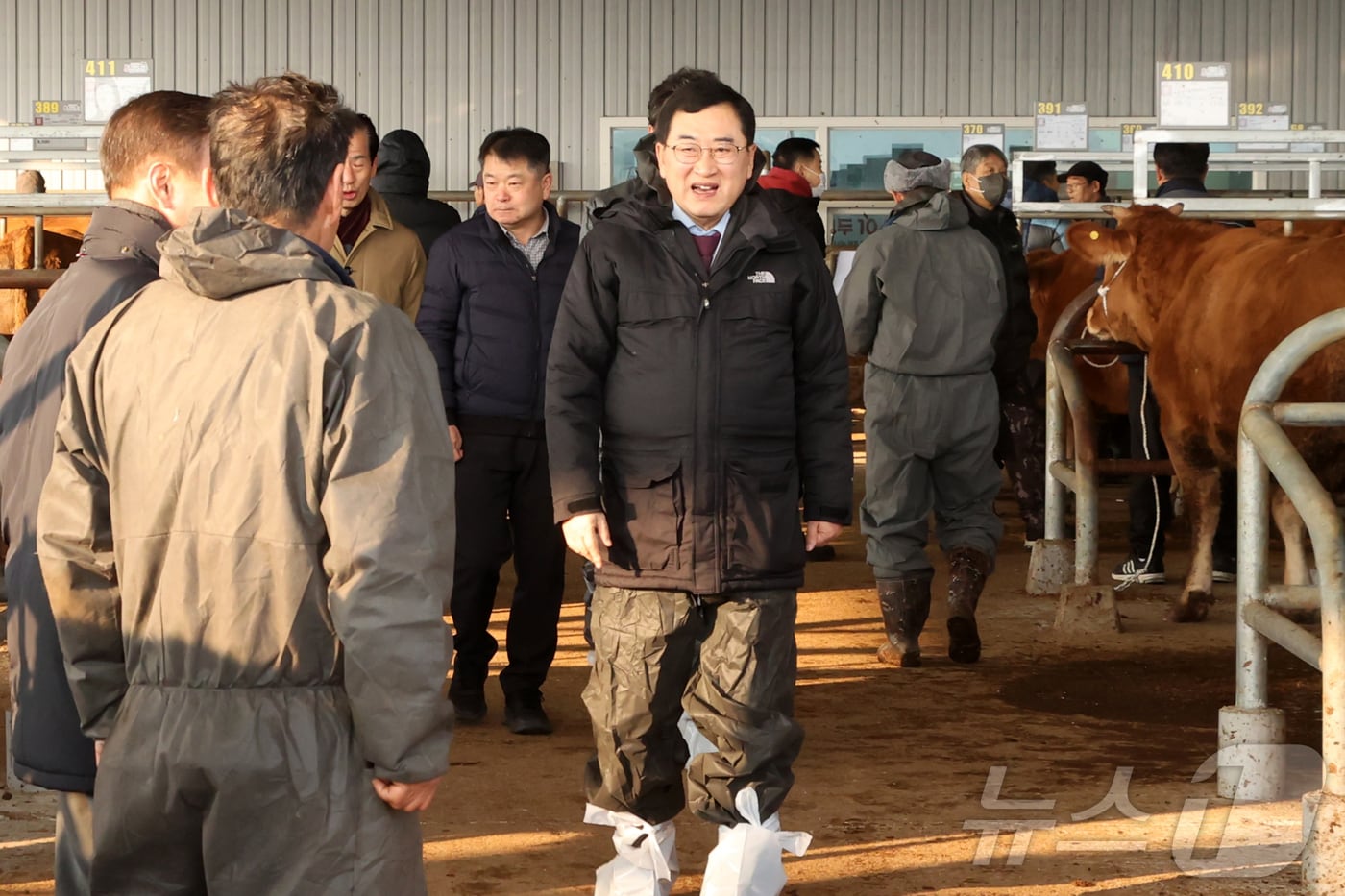주낙영 경주시장이 20일 오전 경주 가축시장을 찾아 경매 과정 등을 둘러보고 있다. (경주시 제공) 2025.1.20/뉴스1 