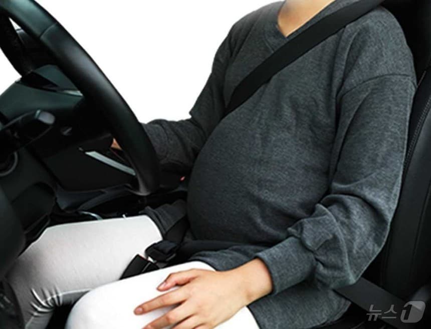  임산부 전용 안전벨트 (강북구 제공)
